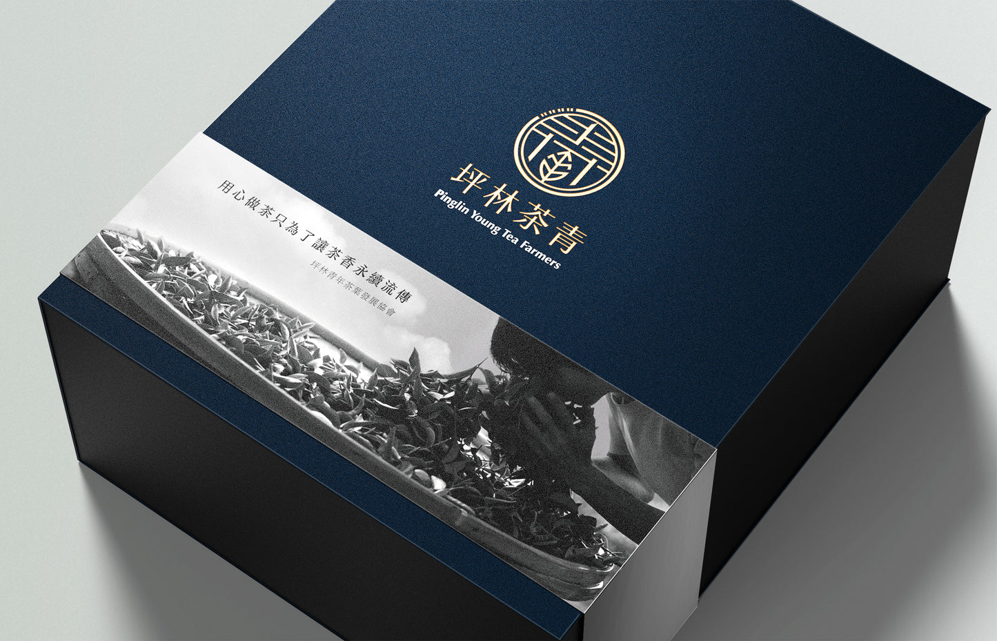 茶青為你挑|坪林文山包種茶